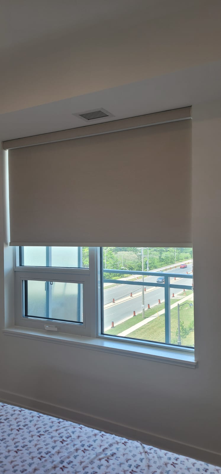 Large Window Roller Shade